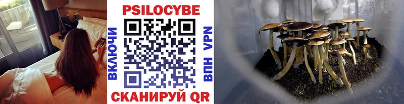 Псилоцибиновые грибы ЛСД  Купить  Энгельс 